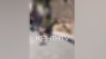 Κρήτη: Χειροπέδες σε τρεις ανηλίκους για ξυλοδαρμό 12χρονου – Τον βιντεοσκόπησαν & τον ανέβασαν στο διαδίκτυο