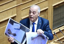 Πλακιάς για Βελόπουλο: Τον είδα έκπληκτος να δείχνει φωτογραφίες οστών ζώων στη Βουλή φωνάζοντας ότι είναι από τα θύματα των Τεμπών