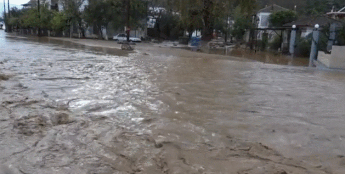 pilio.gif
